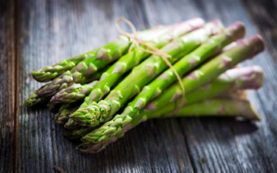 Can Dogs Eat Asparagus?