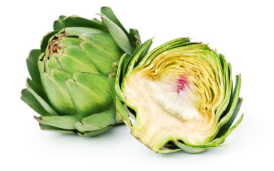 Can Dogs Eat Artichokes?